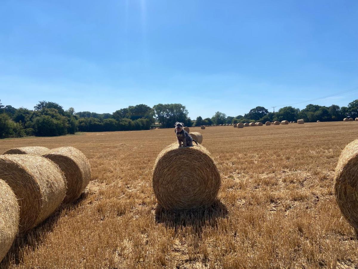 The Chaff House - Farm Stay Apartment Set Within 135 Acres Bromyard Exterior foto